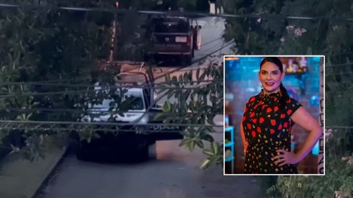 Detienen a exfuncionarios de Morelos por secuestro de la chef Zahie Téllez