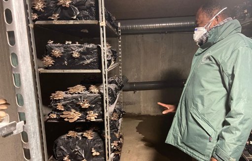 Des initiatives sociales innovantes pour recréer du lien à Nantes et ses environs