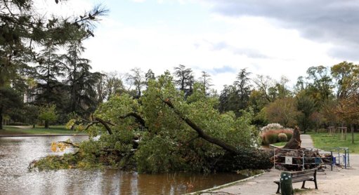 La tempête Benjamin frappe Grenoble et l'Isère, causant chutes d'arbres et dégâts matériels