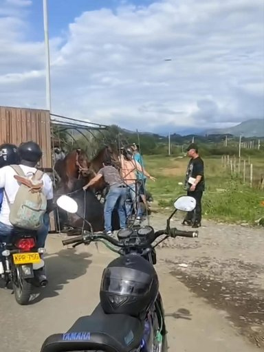 Accidente de camión con caballos de Faustino Asprilla en Tuluá