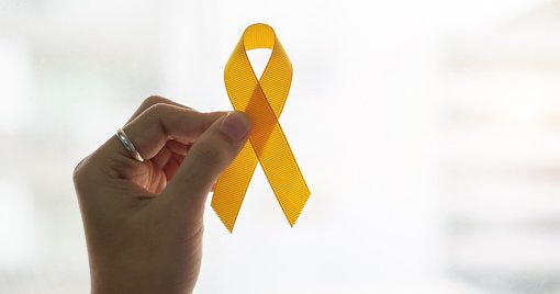 Portugal lança nova linha nacional de prevenção do suicídio - 1411