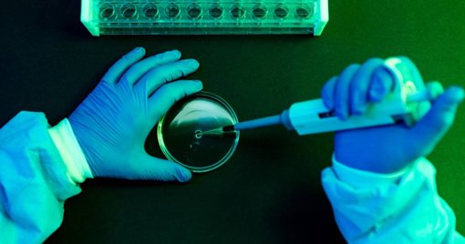 Proposta de fusão da FCT e ANI gera contestação da comunidade científica portuguesa