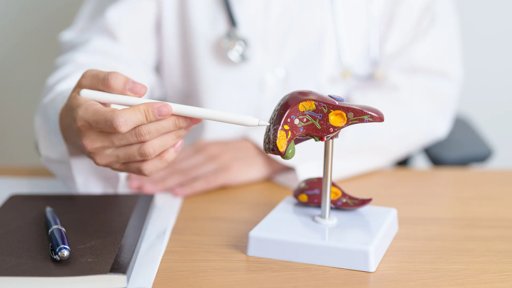 Cancro do fígado mata 1.200 pessoas por ano em Portugal e custos podem ultrapassar 77 milhões de euros