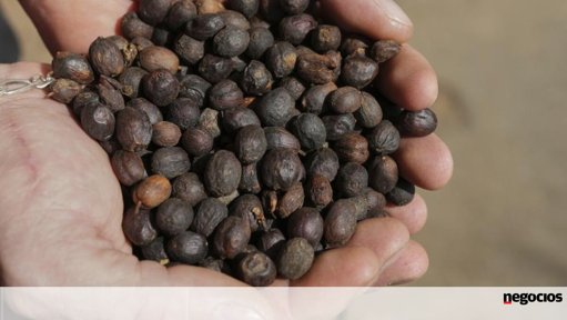 Trump Retira Tarifas sobre Produtos Brasileiros após Conversa com Lula