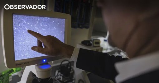 Comissão Europeia aprova Kinsunla para fases iniciais da Doença de Alzheimer