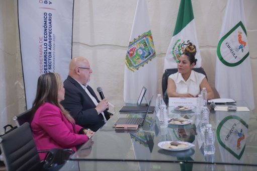 San Andrés Cholula y la OCDE se Alían para la Modernización Gubernamental