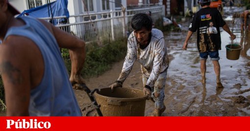 Tufão Kalmaegi devasta Filipinas e provoca mais de 85 mortos