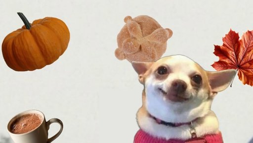 El Pan de Muerto Inspira una Ola de Memes y Celebraciones en México