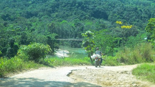 Crisis humanitaria en Catatumbo por enfrentamientos entre ELN y disidencias