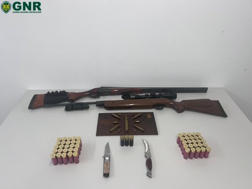 Forças de segurança reforçam combate à violência doméstica com várias detenções e apreensões de armas