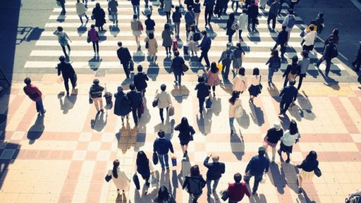 Movimento Humano Supera o de Todos os Animais Selvagens Terrestres, Revela Estudo