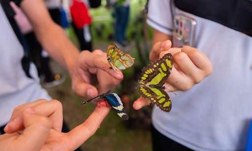 Cali se consolida como capital mundial de la biodiversidad con una semana de impacto global