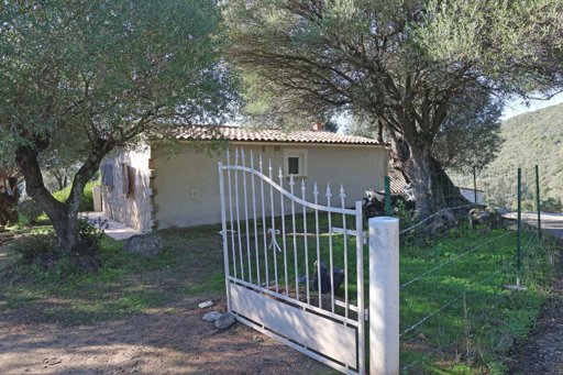 Grand banditisme corse : arrestation de Mickaël Ettori après cinq ans de cavale