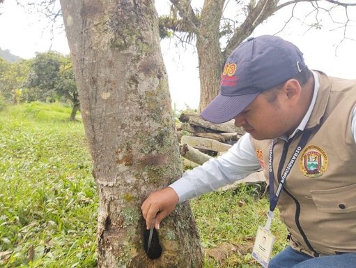 Alerta por dengue en Santander: Bucaramanga es el principal foco de contagios