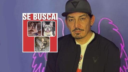 José Manuel Figueroa Moviliza a sus Fans para Encontrar a sus Perros Perdidos