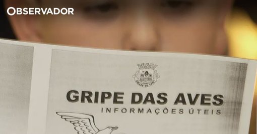 Governo Alarga Acesso à Vacina Contra a Gripe Zoonótica