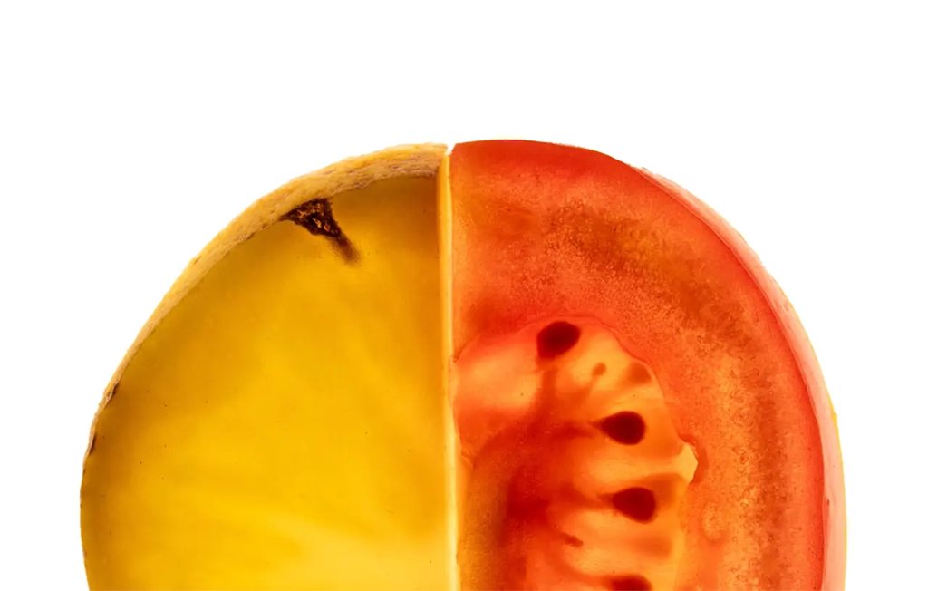 Origem da batata desvendada: cruzamento ancestral com tomate deu origem ao tubérculo