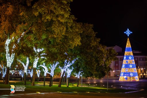 Castelo Branco investe 300 mil euros num Natal com “Luz, Magia e Tradições”