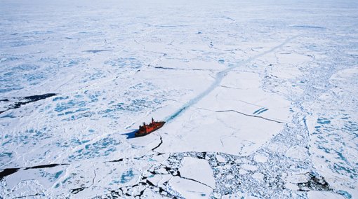 Descubren algas que se mueven en el hielo del Ártico a -15 °C, redefiniendo los límites de la vida
