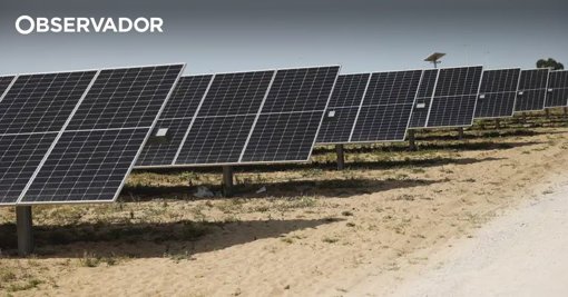 Multinacional britânica investe 590 milhões de euros em central solar em Castelo Branco