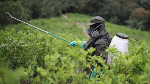 Tensión diplomática entre Colombia y EE.

UU. por certificación antidrogas