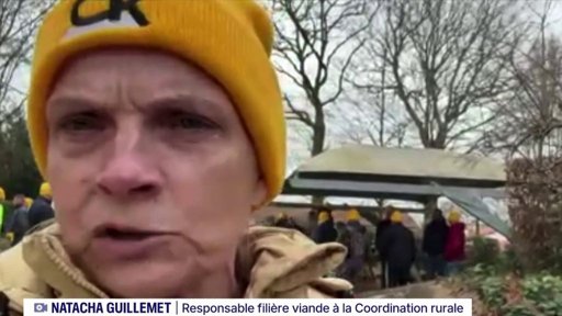 Dermatose bovine : tensions et arrestations en Ariège lors des opérations d'abattage