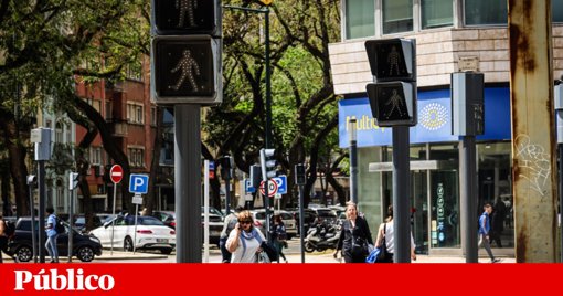 Conselho Nacional de Educação defende 'estratégia nacional' para combater baixa escolaridade dos adultos