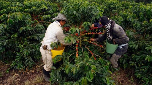 Homenaje a los agricultores santandereanos en Centroabastos de Bucaramanga