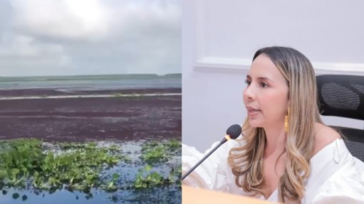 Alertan sobre grave crisis ambiental en la Ciénaga Grande de Santa Marta