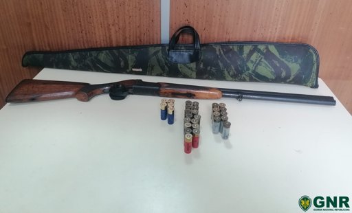 GNR alerta para perigos da caça em áreas de proteção após detenções em Vagos e Vila Real