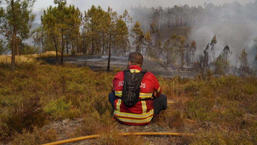 Fogo em Arouca dominado após quatro dias de combate