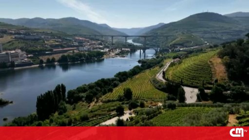 ASAE Apreende 10 Toneladas de Uvas Ilegais na Região Demarcada do Douro
