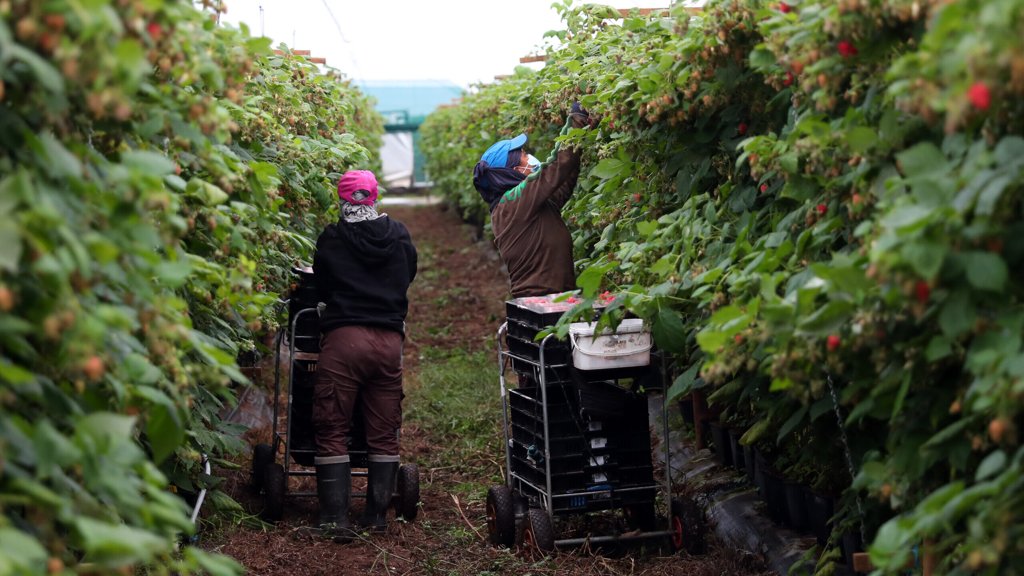 Precariedade e Baixos Salários Agravam Crise da Habitação