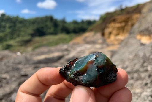 Descoberta Rara de Âmbar com 112 Milhões de Anos Abre Janela para o Cretáceo Sul-Americano