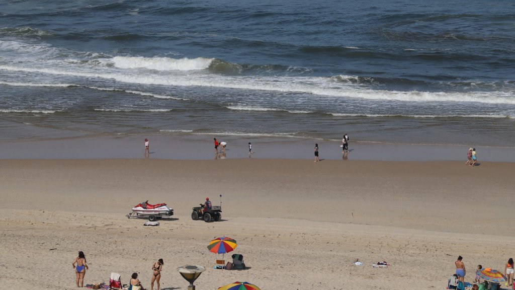 Descargas Poluentes Levam à Interdição de Praias na Nazaré, Sesimbra e Marinha Grande