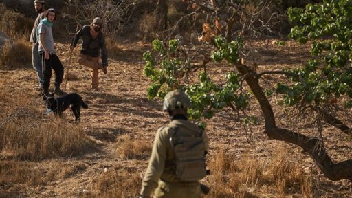 Projets d'annexion en Cisjordanie : Israël défie son allié américain