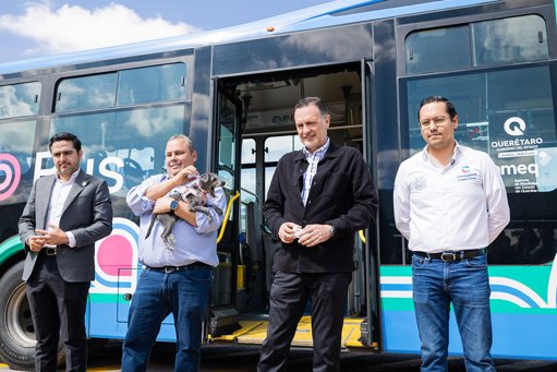 Querétaro se vuelve “Pet Friendly”: el sistema Qrobús ahora permite viajar con mascotas