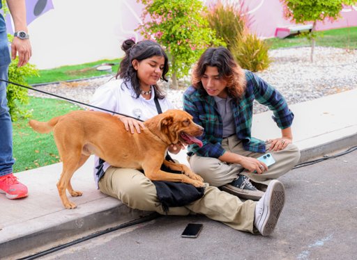 Santuario Animal Mily en Baja California Impulsa la Adopción Responsable