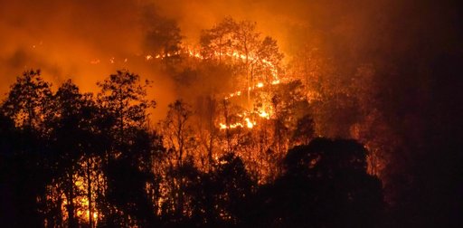 Incêndios destroem quase 34 mil hectares em áreas protegidas