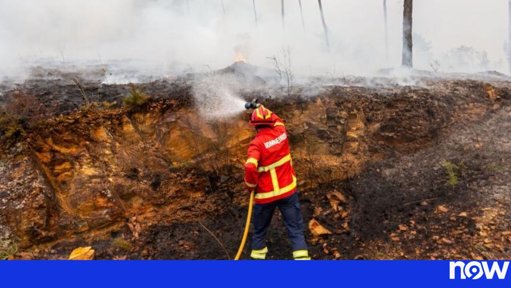 IPMA emite alerta de risco máximo de incêndio para catorze concelhos