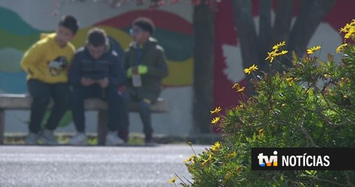 Parlamento Europeu aprova relatório que pede idade mínima de 16 anos para redes sociais