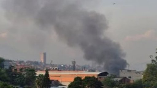 Mascotas en Peligro: Incendios en el Valle de Aburrá Dejan un Gato Muerto y Varios Rescatados