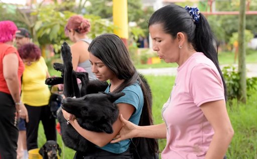 Organizan jornadas de bienestar y esterilización para animales en varias ciudades