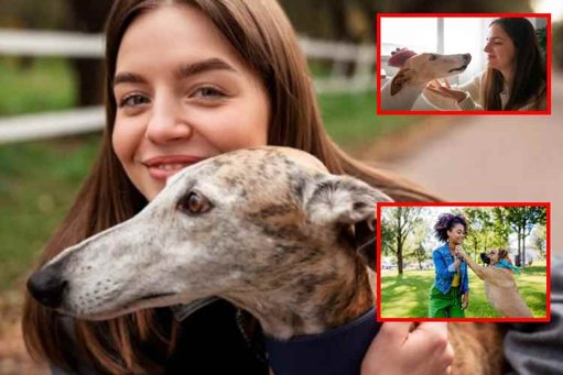 Estudio Revela que Convivir con Perros Reduce la Ansiedad en Adolescentes