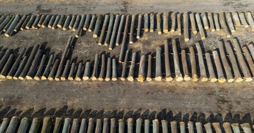 L'UE reporte et affaiblit sa loi phare contre la déforestation