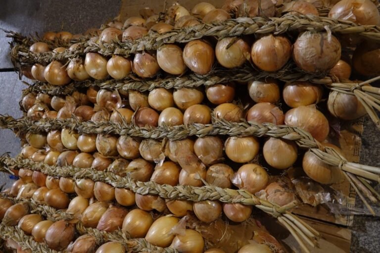 Feira das Cebolas em Coimbra debate-se com mudança de localização