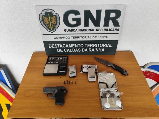 Operação da GNR em Alcobaça Revela Falhas na Identificação e Vacinação de Animais