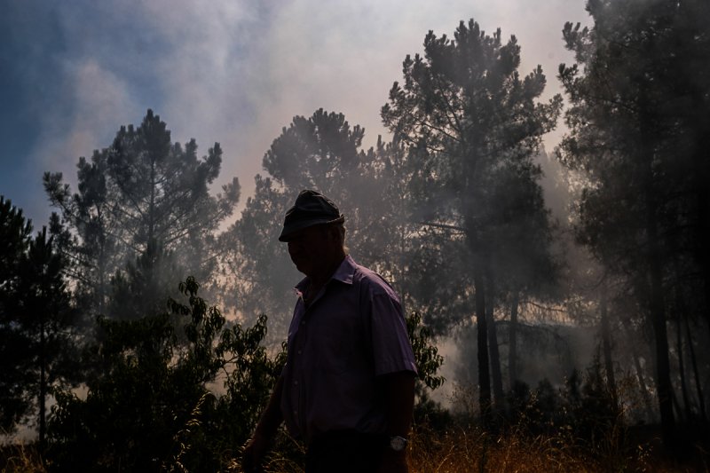 Incêndio de Grandes Proporções Ameaça Aldeias em Vila Real e Mondim de Basto