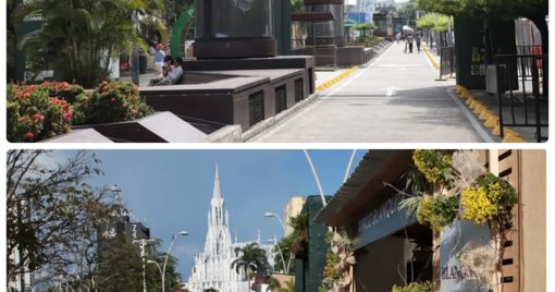 Cali se consolida como capital global de la biodiversidad