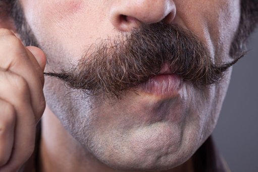 Les défis de novembre : entre sensibilisation avec Movember et abstinence avec le « No Nut November »